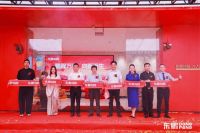 东鹏控股韧性生长，200家门店焕新背后的破局密码