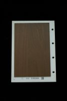 生态美学赋能恒久奢居，雅冠筑家与戴昊男共筑健康品质