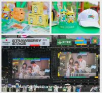 兔宝宝携手杭州草莓音乐节，多维破圈奏响品牌年轻化最强音