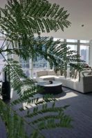 对话无界设计吴燕 | 功能与诗意，家是有一无二的生命容器