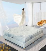 连续两年荣获“中国家具床垫十大品牌”！ 凤阳家居52年服务超1000万家庭