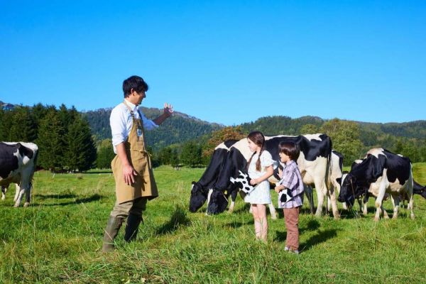 【リゾナーレトマム】牛の観察