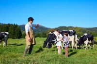 北海道夏日溜娃好去处：大自然是我们的游乐场