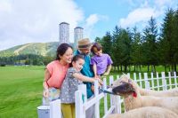 北海道夏日溜娃好去处：大自然是我们的游乐场