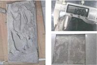 刚贴好的砖，说掉就掉？