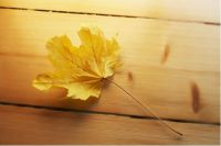 意大利升森地板 SAMCEN 正式进入中国