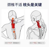 楽寝定制枕：医用级定制枕解决方案助力推拿行业突破发展瓶颈