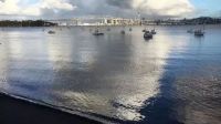 泊于林海的永恒之舟  艺术家晨晓的新西兰自然主义建筑宣言