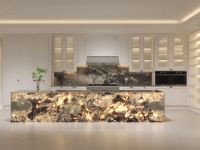 全球视野·厨房革命：北美THOR索而品牌战略暨新品发布会圆满收官