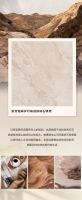 【自然石空】金朝阳瓷砖2025新品即将上市，新工艺新质感新花色，5大趋势系列马上闪亮登场