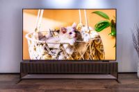 在家重温《哪吒2》大片 电视画质决胜点藏于色彩明暗中