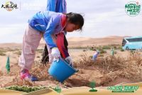 植树10年 幸福同行丨赴一场跨越十年的绿色之约 —— 左右沙发腾格里沙漠种树植心10周年活...