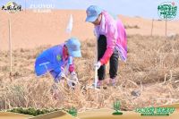 植树10年 幸福同行丨赴一场跨越十年的绿色之约 —— 左右沙发腾格里沙漠种树植心10周年活...