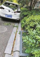 台风季门窗安全警钟再鸣：坠窗悲剧如何避免？