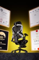 百元价位 千元体验，骁骑X7“墩墩椅”，新品首发！