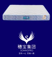 穗宝集团「启承」新品上市|以启承之名，见证技术智承