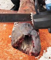 东成红木：小叶紫檀红木家具 “收藏热门” 品牌