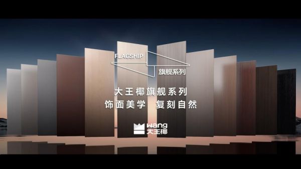 旗舰封面