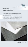 【自然石空·2025新品上市】润纹石系列750×1500mm 石纹流转 叙说自然光辉