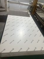 全“芯”焕新，杰业板材新品——小欧松PET板强势登场！