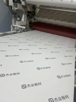 全“芯”焕新，杰业板材新品——小欧松PET板强势登场！