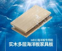 【行业里程碑】平安树双剑出鞘：船用饰面胶合板标准制定者 + 七大海洋板新品发布