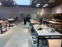 VIZ:当 “种树” 遇上 “穿鞋”，你的日常选择可能藏着森林保护的双面性