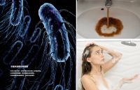 革新从未止步，吉博力智洁活水系统守护健康底线