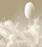 穗宝臻承床垫 | 至臻于智，承你所安