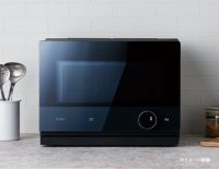 双品牌战略新成果：海尔日本再获优良设计奖