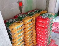 贴地砖用地宝瓷砖胶，靠谱工长的硬核之选！