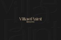 VillaePaint甄图艺墅家  如何构建新消费时代的高端艺术涂料品牌