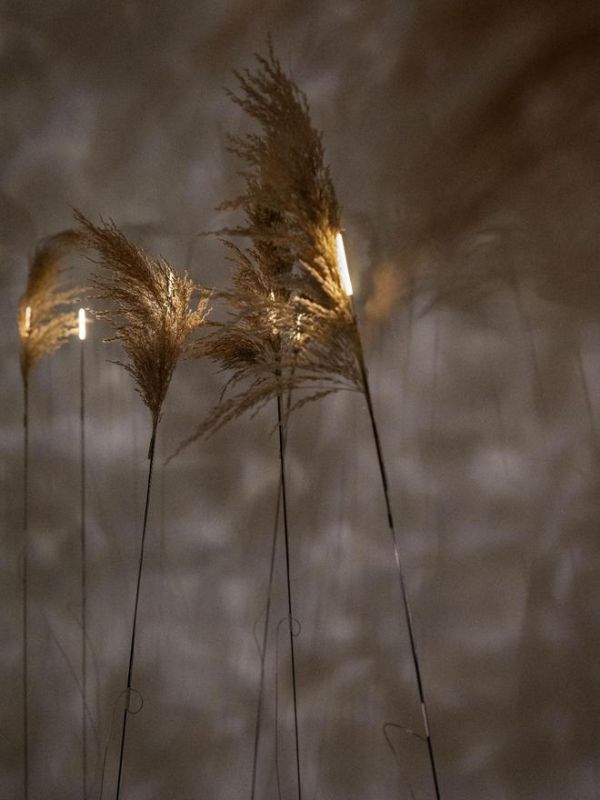 「归心Reconnection」——重塑疗愈空间新体验 RF Lab正式亮相中国 开启一场关于感知、疗愈与归属的创作实验