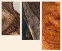 陶瓷一线品牌齐圣腾飞陶瓷 | 「原木·质感砖」，打造原生态美学