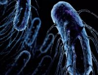 饮用水污染事件频发 优质给水管品牌该如何选择？