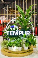 进博会首发丨泰普尔睿选Pro Smart亮相，AI黑科技引领“智能睡眠”