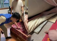 国家最新强标落地 星港床垫焕新行动惠及千家万户