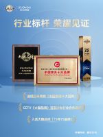 国牌力量，左右担当！左右沙发荣膺「2025《大国品牌》国牌盛典年度品牌」