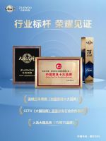 左右沙发荣膺 2025《大国品牌》国牌盛典年度品牌！铸就中国家具行业新标杆