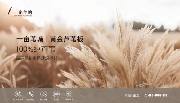 100％纯芦苇！“一亩苇塘”黄金芦苇板打造家居产业绿色材料新样本