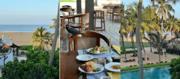 斯里兰卡再出发，欧神诺金橄榄设计力量研学之旅完美收官！