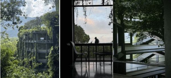 斯里兰卡再出发，欧神诺金橄榄设计力量研学之旅完美收官！