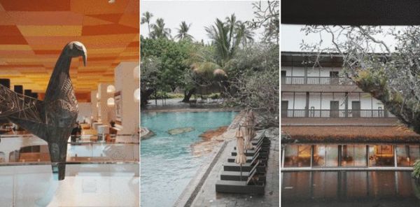 斯里兰卡再出发，欧神诺金橄榄设计力量研学之旅完美收官！