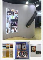 兔宝宝科技木亮相2025广州设计周，百款新品演绎人居美学