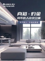 产业观察：格力”风不吹人”空调如何推动家电行业健康转型？