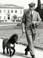 瓷砖材质大比拼：如何为家挑选“对”的砖