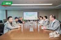 三棵树美缝剂荣膺全国零售销量第一，以“全屋美缝”系统解决方案引领行业变革