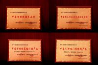 萤石网络智能锁斩获多项殊荣 以 AI 技术锚定行业新标杆