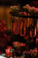 以“融入、趣物、同道”，洞见2026三大生态