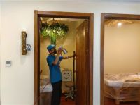 生态美家“先享后付”新模式，开启除甲醛服务新篇章